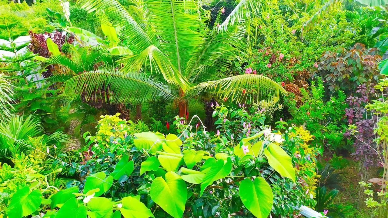 Villa Modara Tangalle Eksteriør bilde