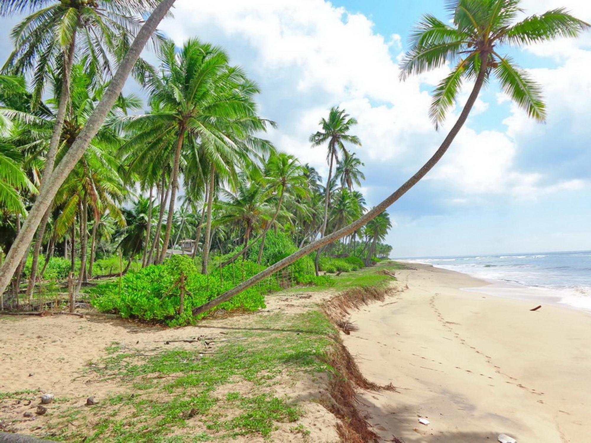 Villa Modara Tangalle Eksteriør bilde